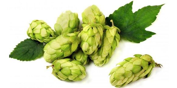 You can use hop cones to prepare ointment for osteochondrosis of the neck. 